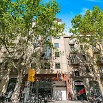 Acacia 4*