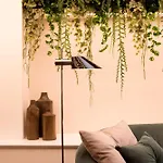 Acacia Aparthotel 4*