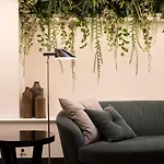 Aparthotel Acacia 4*