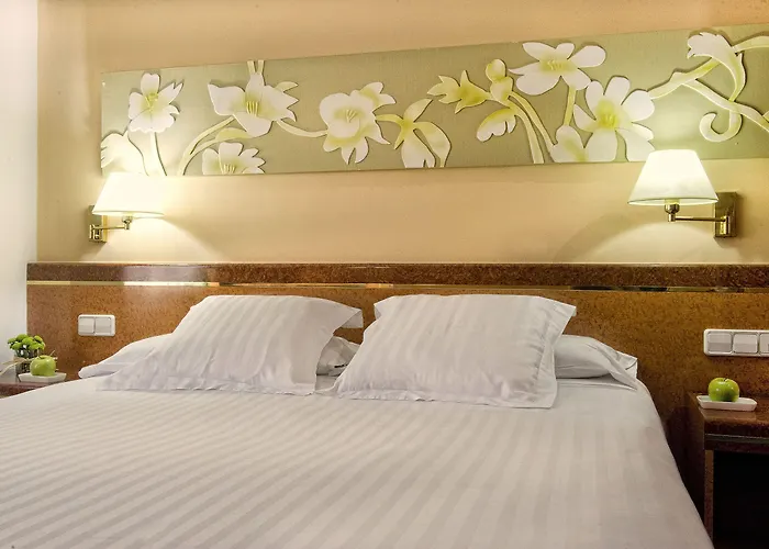 Acacia 4*